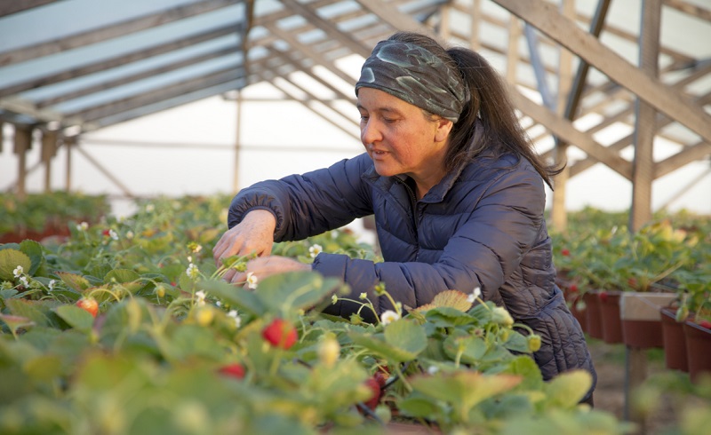 Julia Muñoz - agricultora Natales