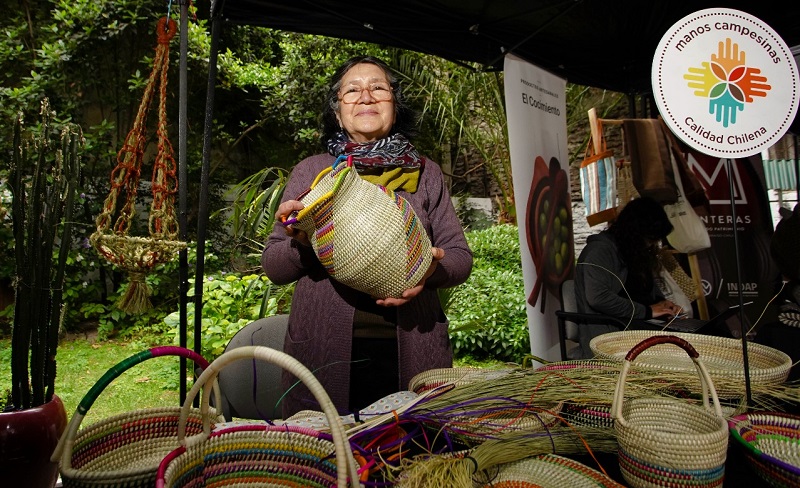 Mercado Artesanía Indap 1