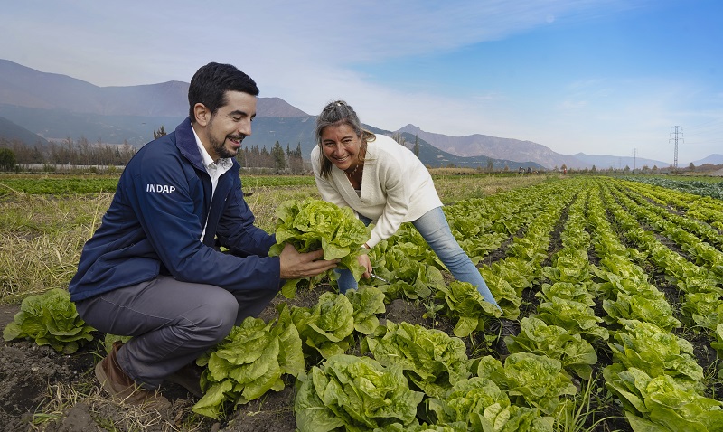 Agricultura sostenible 1