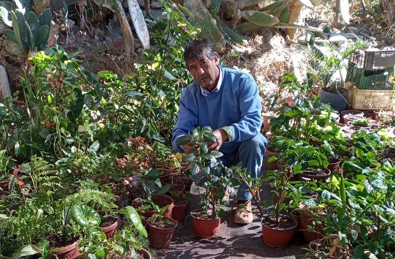 Raúl Flores - aguas grises Vicuña 1