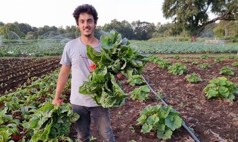 Distinguen -Productor-Agroecológico-Apoyado-INDAP-1Portada