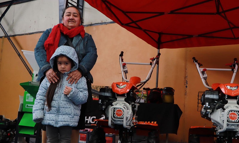 Codegua proyectos IFP 1