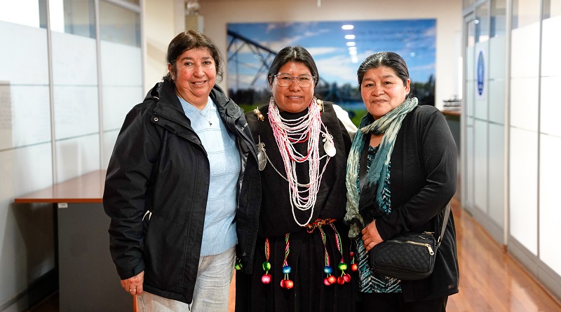Comité materias primas artesanía 1