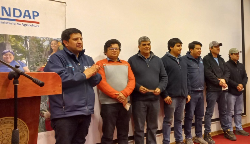 Incentivos emergencia Curicó y Romeral 1