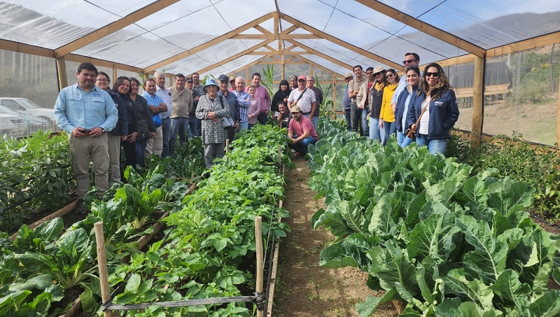 Taller agroecología Punitaqui 1