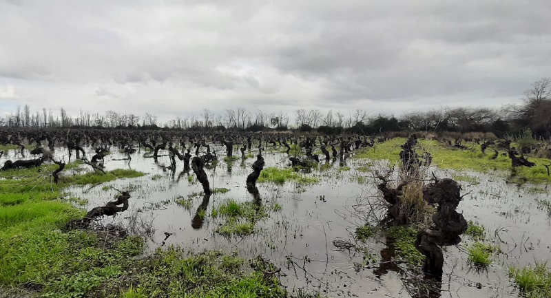 Visita a damnificados San Javier 1