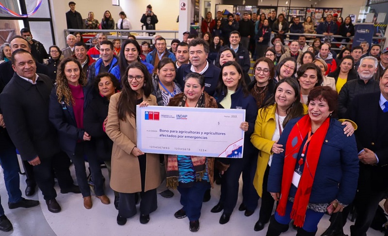 Entrega ayuda inundaciones Biobío 1