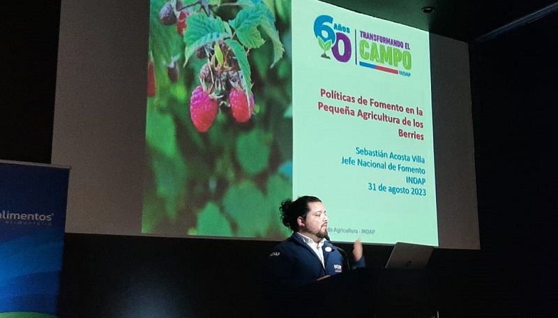 Conferencia Berries Maule 1