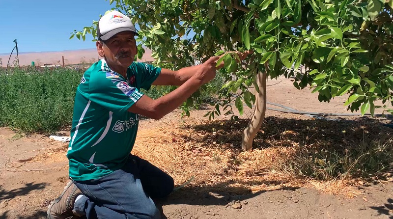 Lanzamiento TAS Tarapacá 1