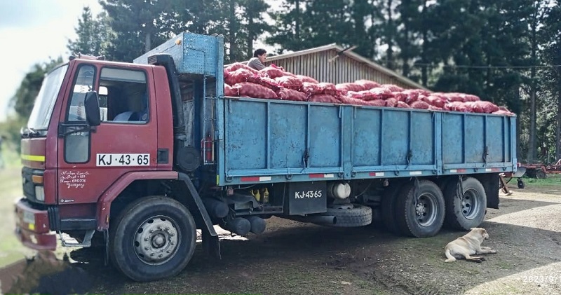 Venta papas Prodesal Los Álamos
