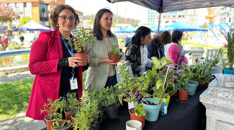 Feria Flores Campesinas Concepción