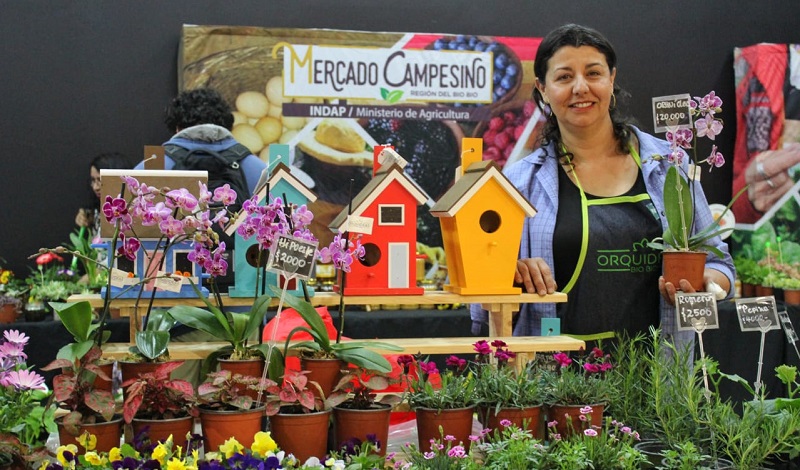 Mercado Campesino Mall del Centro Concepción