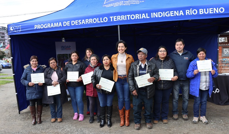 Proyectos inversión Río Bueno 1
