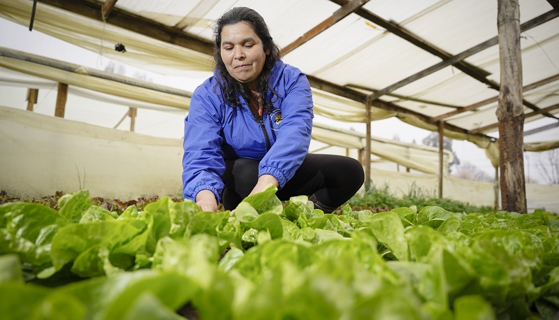 Concurso mujeres rurales La Serena y Ovalle