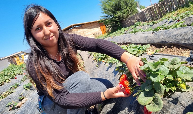 Fernanda Cabezas - frutillas Coquimbo 1