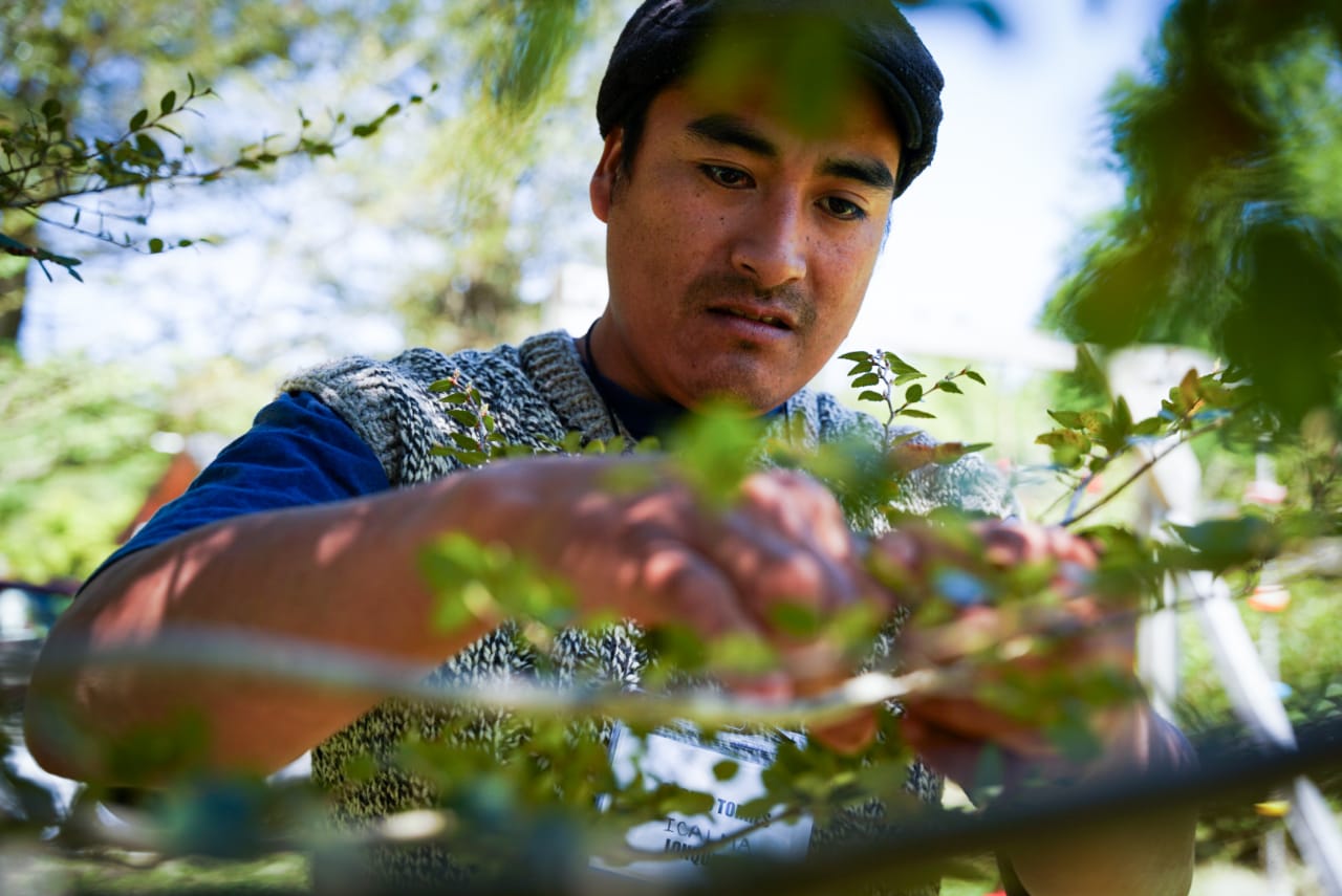 INDAP lanza financiamiento especial para proyectos sustentables de jóvenes rurales