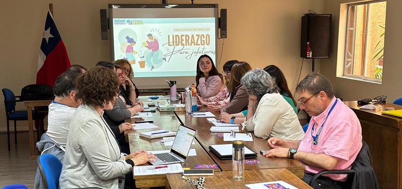 INDAP Biobío Taller Liderazgo Funcionarios-Portada
