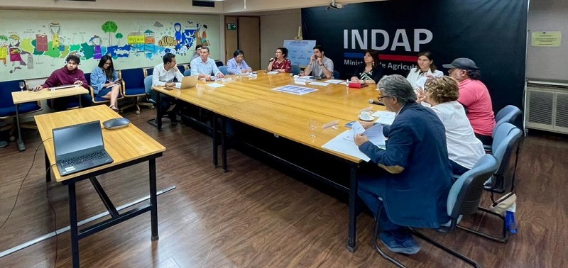 INDAP Constituye Cosoc-2Portada