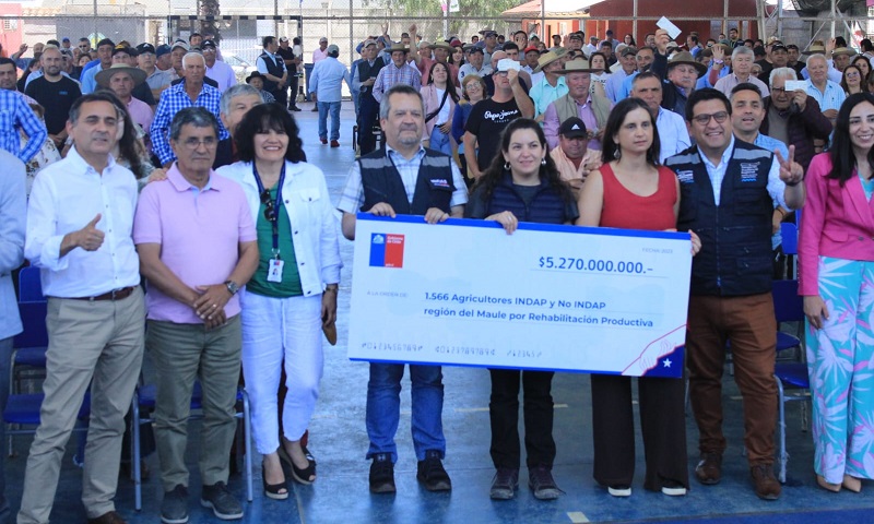 Bonos rehabilitación Maule 1