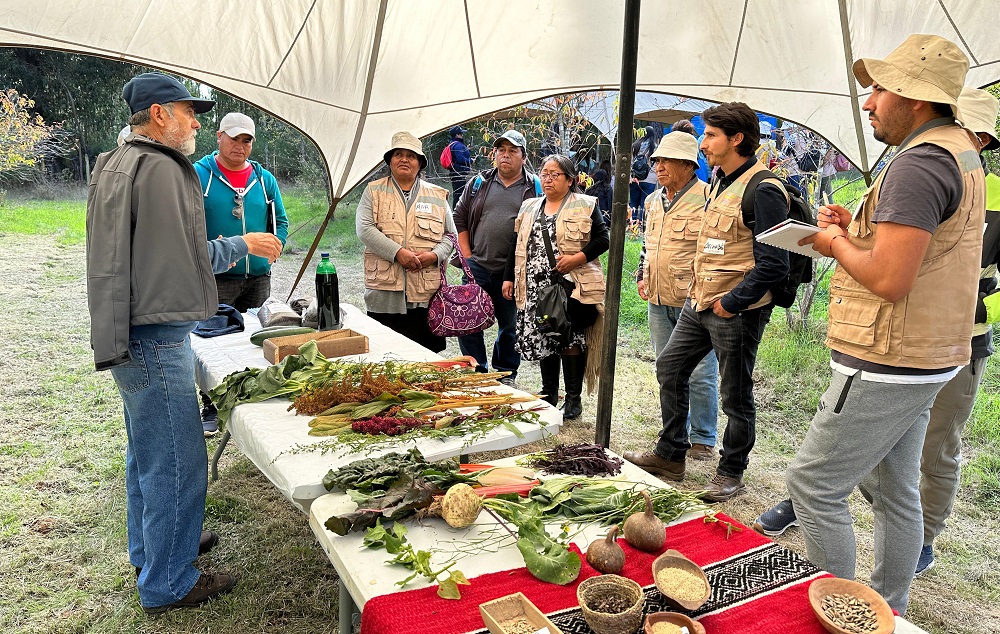 Encuentro Regional de Agroecología Hualqui 1