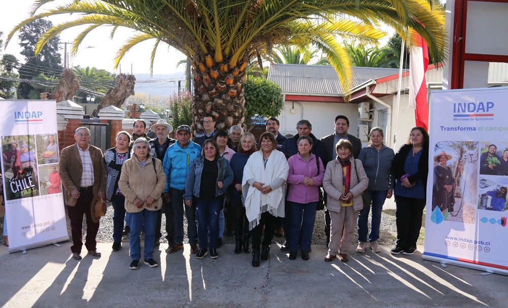 Rehabilitación productiva Licantén y Hualañé 1