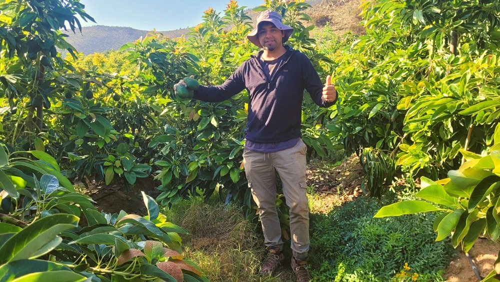 Agricultor Punitaqui Enmanuel Espinoza