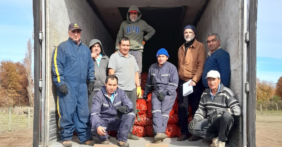 Exportaciones Ñuble - Marrón Andino