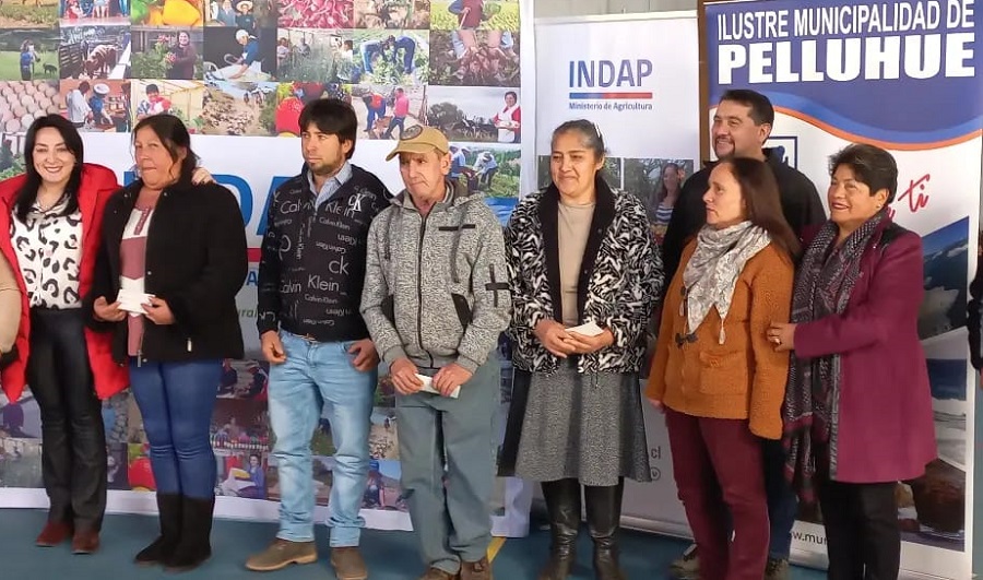 Incentivos frutilleros de Chanco y Pelluhue