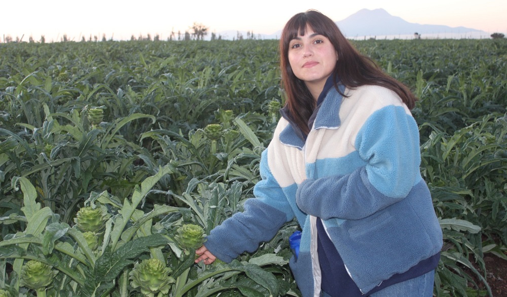 Lili Barrientos - productora de alcachofas Ovalle