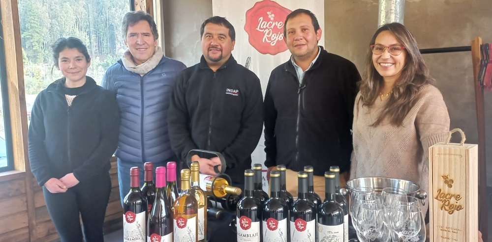 Rueda negocios vinos campesinos Maule