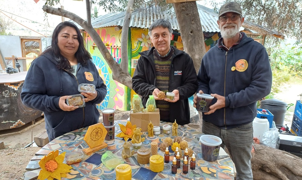 Apicultores Vicuña Día de la Miel