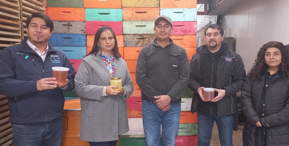 Visita subsecretaria apicultores Curicó