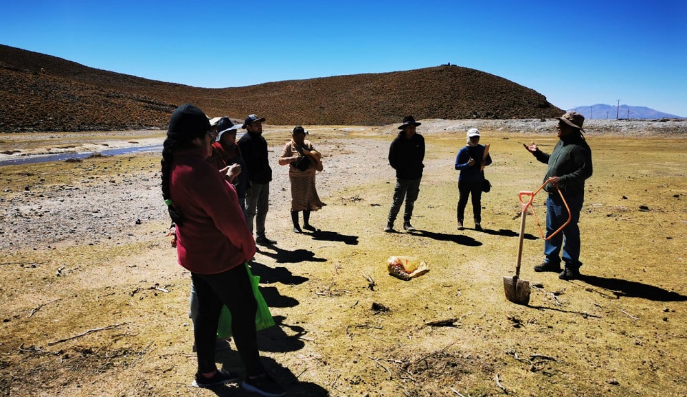 Ganadería camélida y bofedales Tarapacá