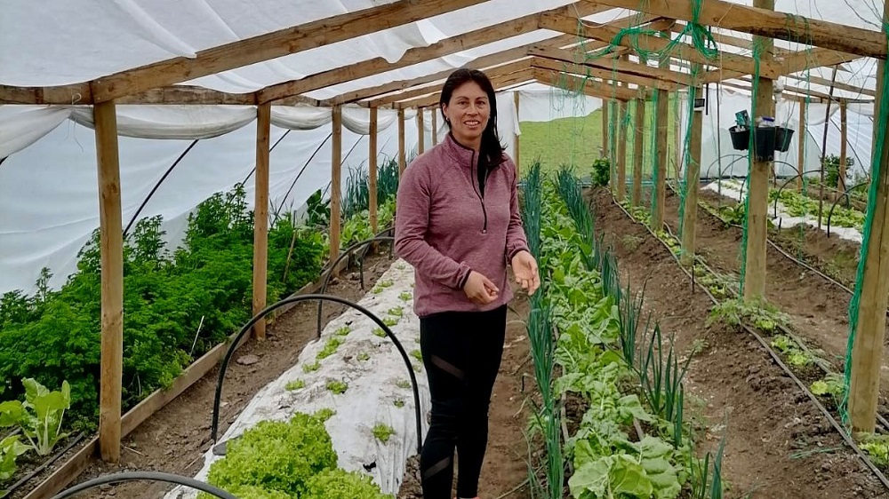 Entrega humus de lombriz en Prodesal Laja