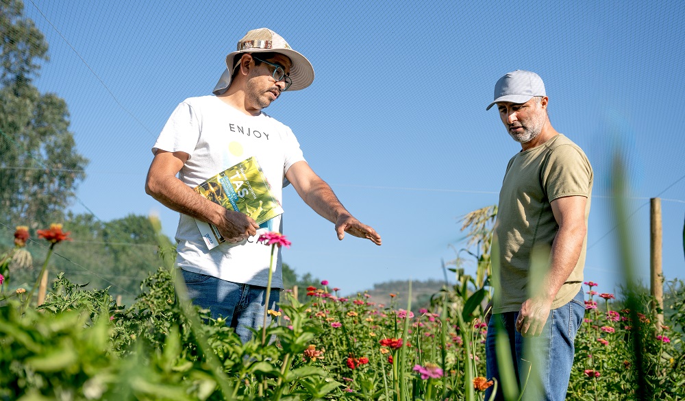 Capacitación a extensionistas y productores de Paraguay