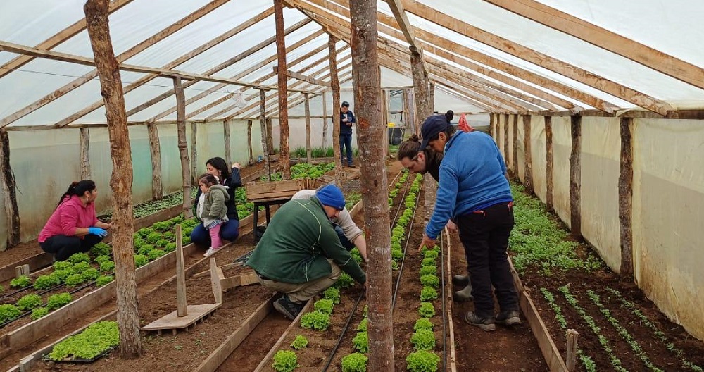 Capacitación frutales La Junta y Lago Verde