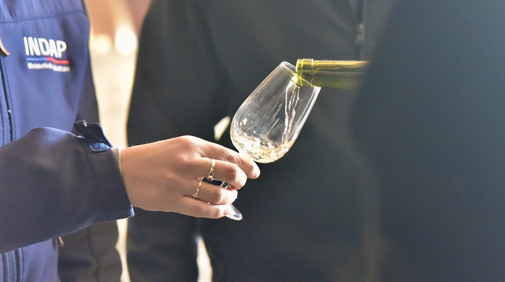 Undécimo concurso del vino valle del Itata
