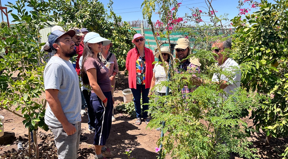 Quinto encuentro Escuelas de Campo Tarapacá