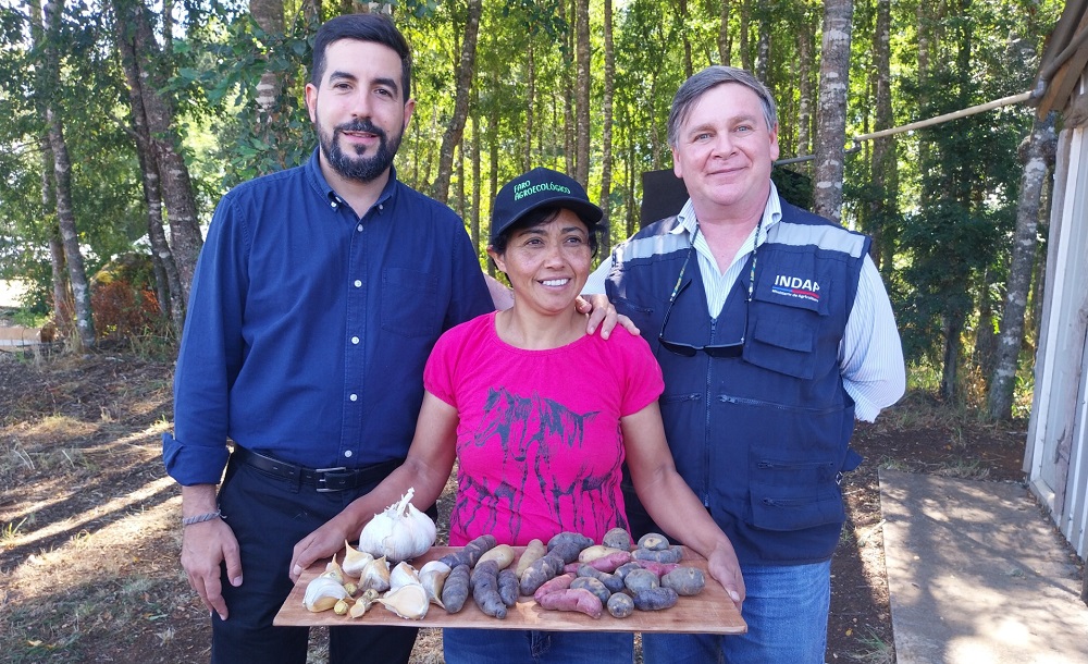 Faros agroecológicos La Araucanía - Georgina Toro