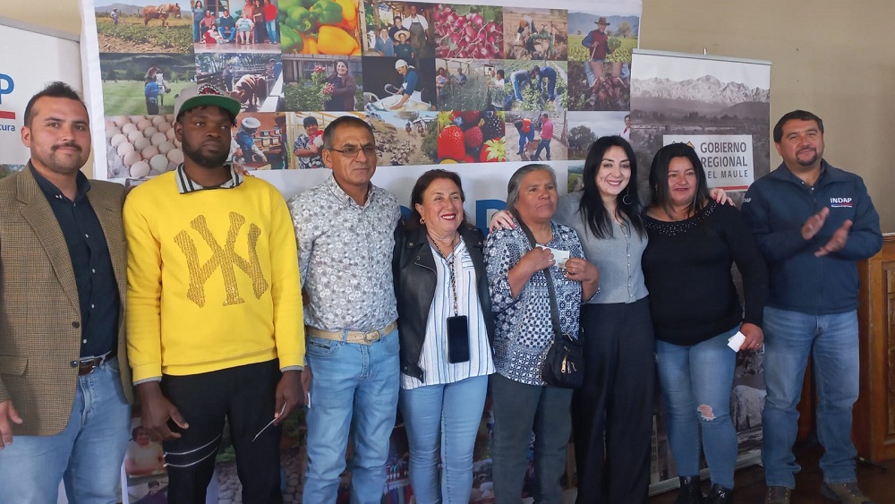 Incentivos a frutilleros de Pelluhue y Chanco