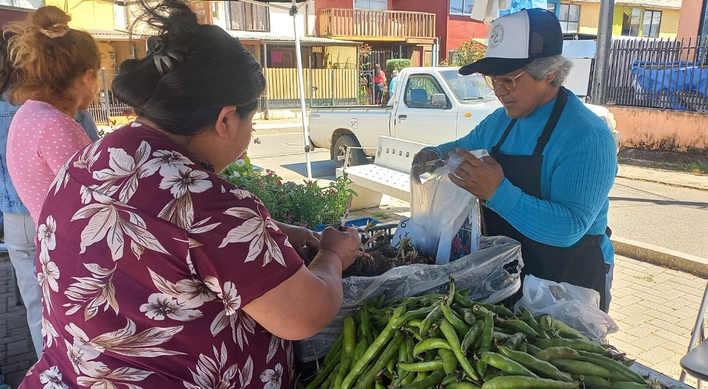 Nuevo Mercado Campesino en la comuna de Chanco