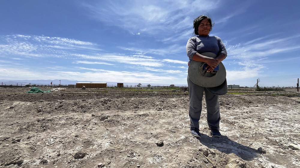 Egreso Programa Mujeres Rurales provincia del Tamarugal