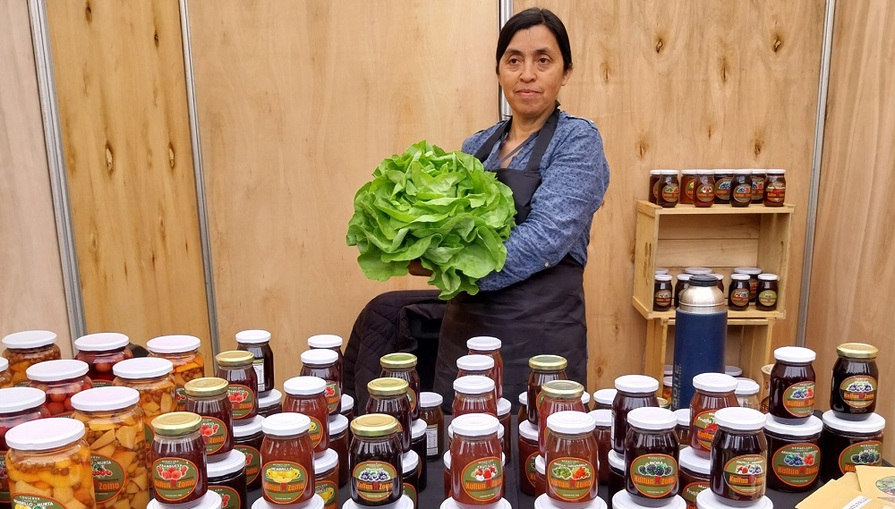 Tercera Expo Agroecológica de Indap en Temuco