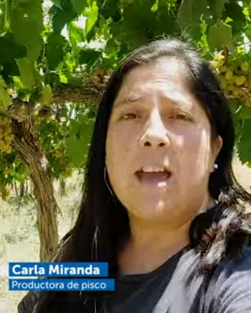 Mi primer negocio rural 2025