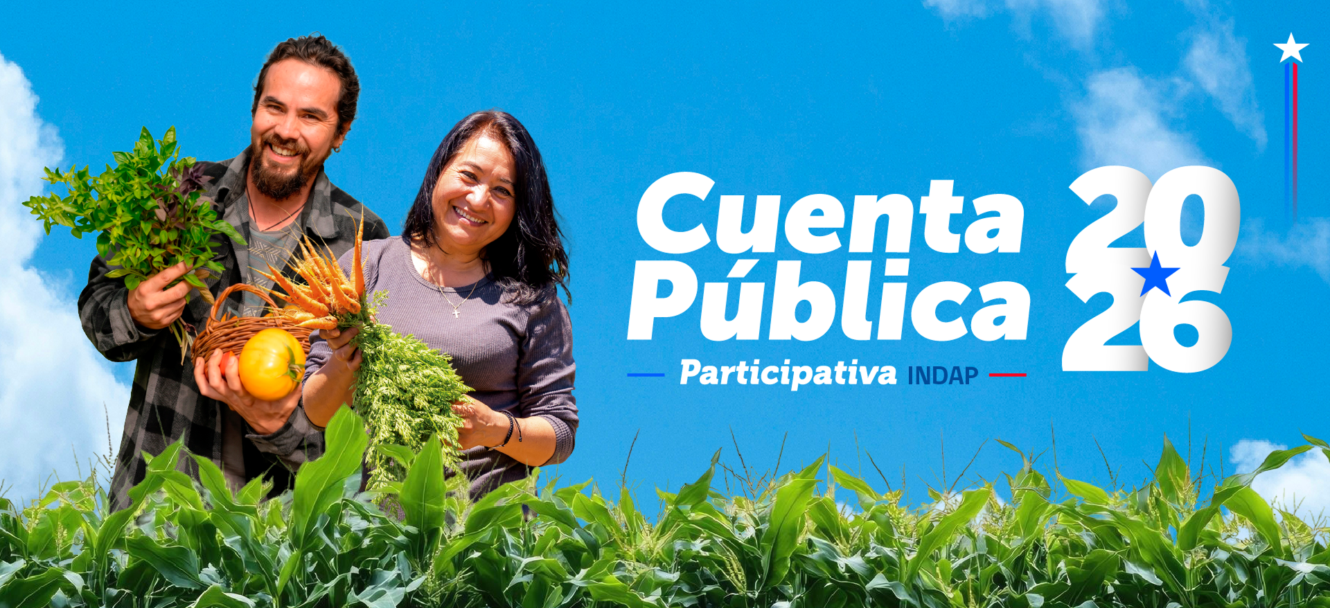 Cuenta publica 2026