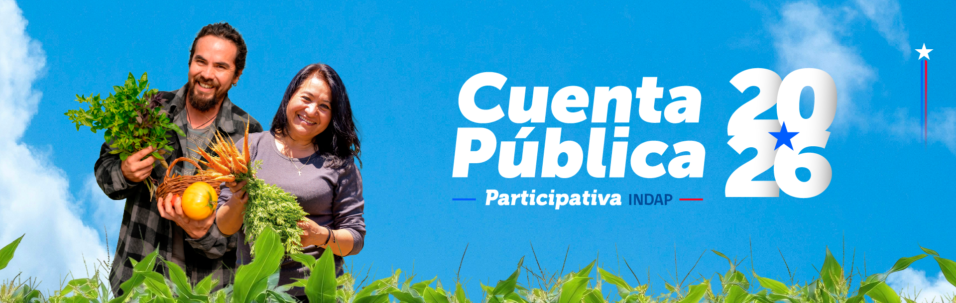 Indap cuenta publica