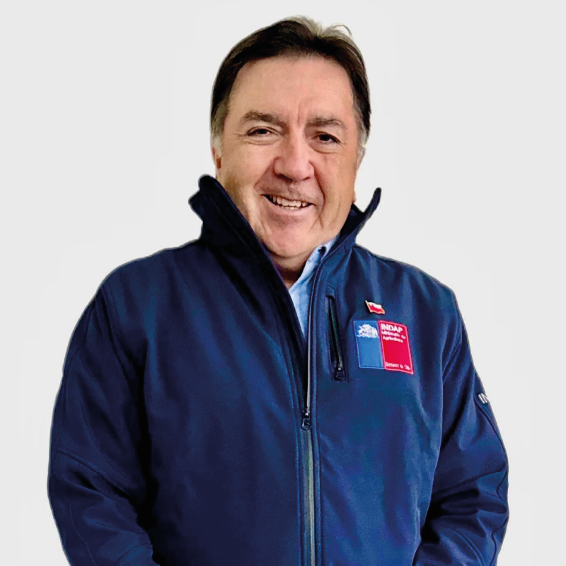 Marcelo Jelves Azócar (s)