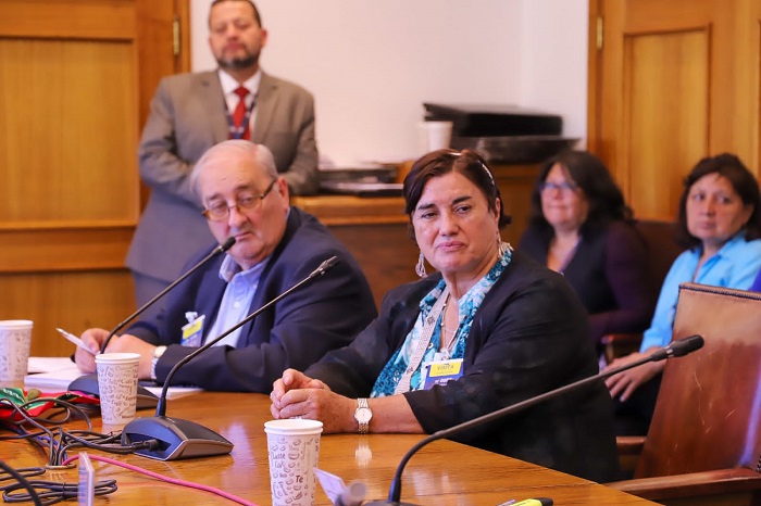 CAR INDAP Expone en Comisión Agricultura Senado-Interior1