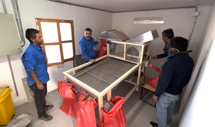 Director-Regional-(S)-INDAP-Tarapacá-Inspecciona-Procesadora-Quinoa-6Interior