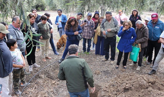 Encuentro olivicultura Atacama 3